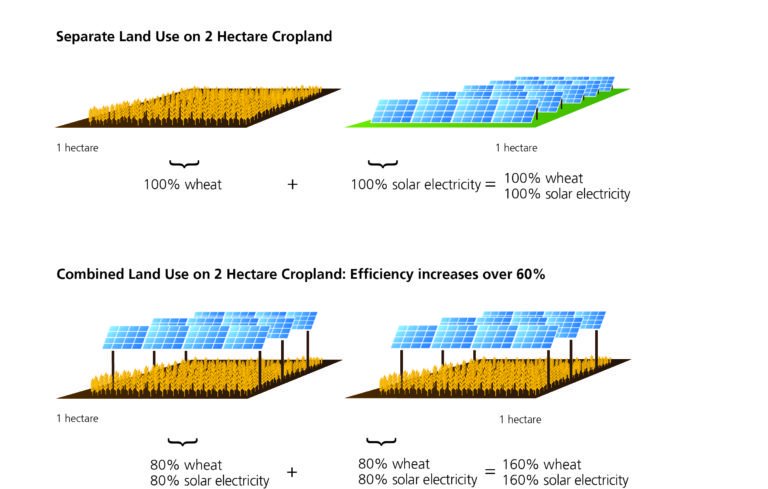 Pic. 3. Increase in the efficiency of land use on agrivoltaic farms.