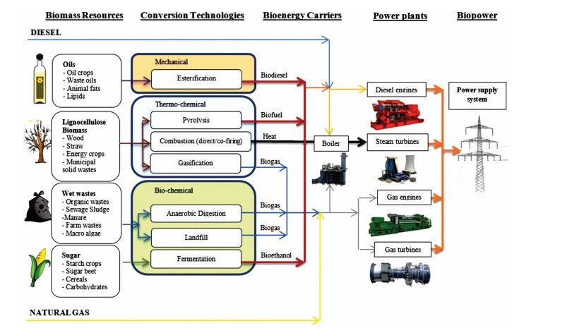 Fig. 2. Energy resources of biomass on the example of Iran. Source: site onlinelibrary.wiley.com. University of Tehran. A Sustainable Power Supply System, Iran's Opportunities via Bioenergy, 2018.