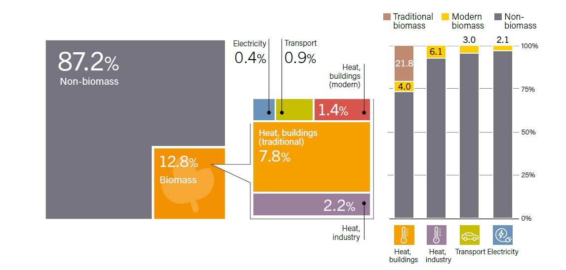 Fig. 3. Share of bioenergy in total final energy consumption, in general and by sectors by 2016 Source: REN21, Renewables 2018, Global Status Report, 2018.